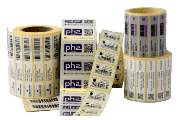 In Dữ Liệu Biến Đổi